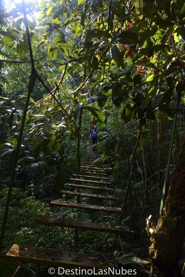 Ciudad De Las Rocas La Fortuna Gallo Giro Luaran gambar