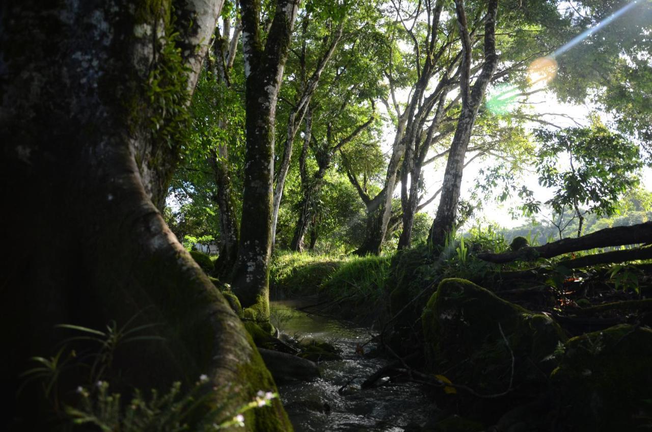 Ciudad De Las Rocas La Fortuna Gallo Giro Luaran gambar